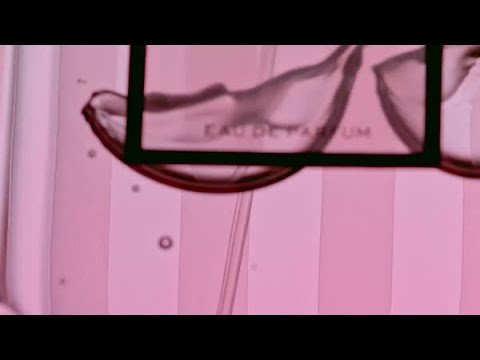 BEHIND THE BOMBSHELL FRAGRANCE | VICTORIA’S SECRET​  ​