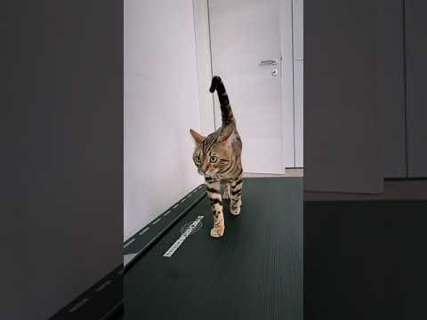 Fashion week 😂 #youtubeshorts #shorts