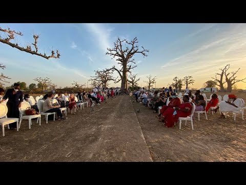 La Dakar Fashion Week 2020 défile au cœur d’une forêt de baobabs