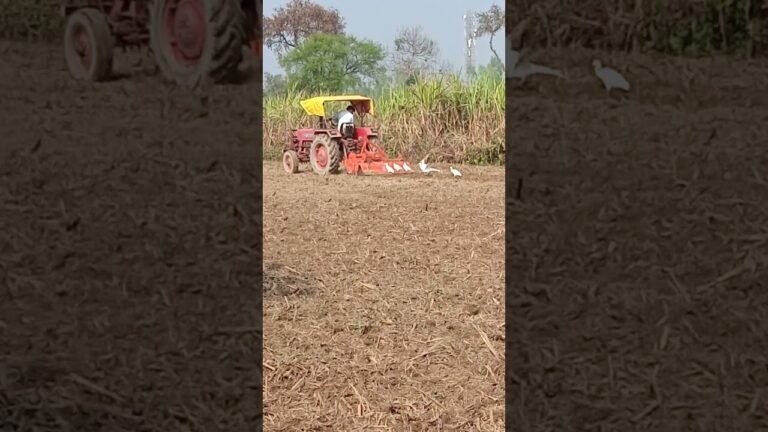 #shorts #India #fashion Sab se Nik bate Saiya kisani