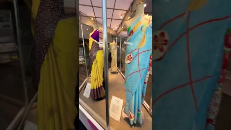 🇮🇳India SARI🥻fashion show in Japan 🇯🇵 #saree #sarees #fashion #dress #trending #japan